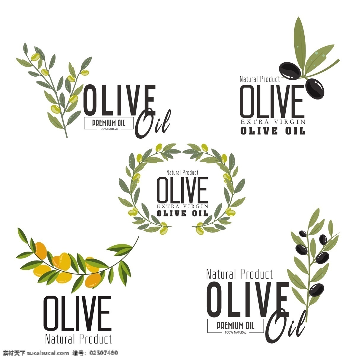 橄榄植物图标 橄榄 橄榄花 橄榄油 橄榄果 橄榄植物 矢量素材