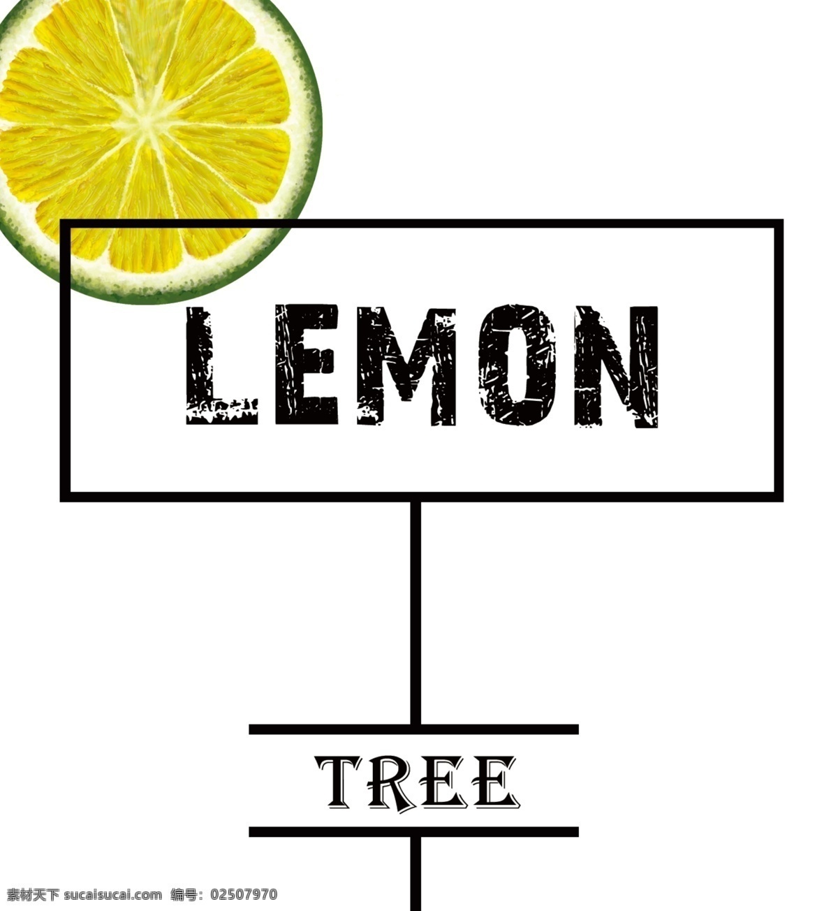 lemontree lemon 柠檬 画册 白色