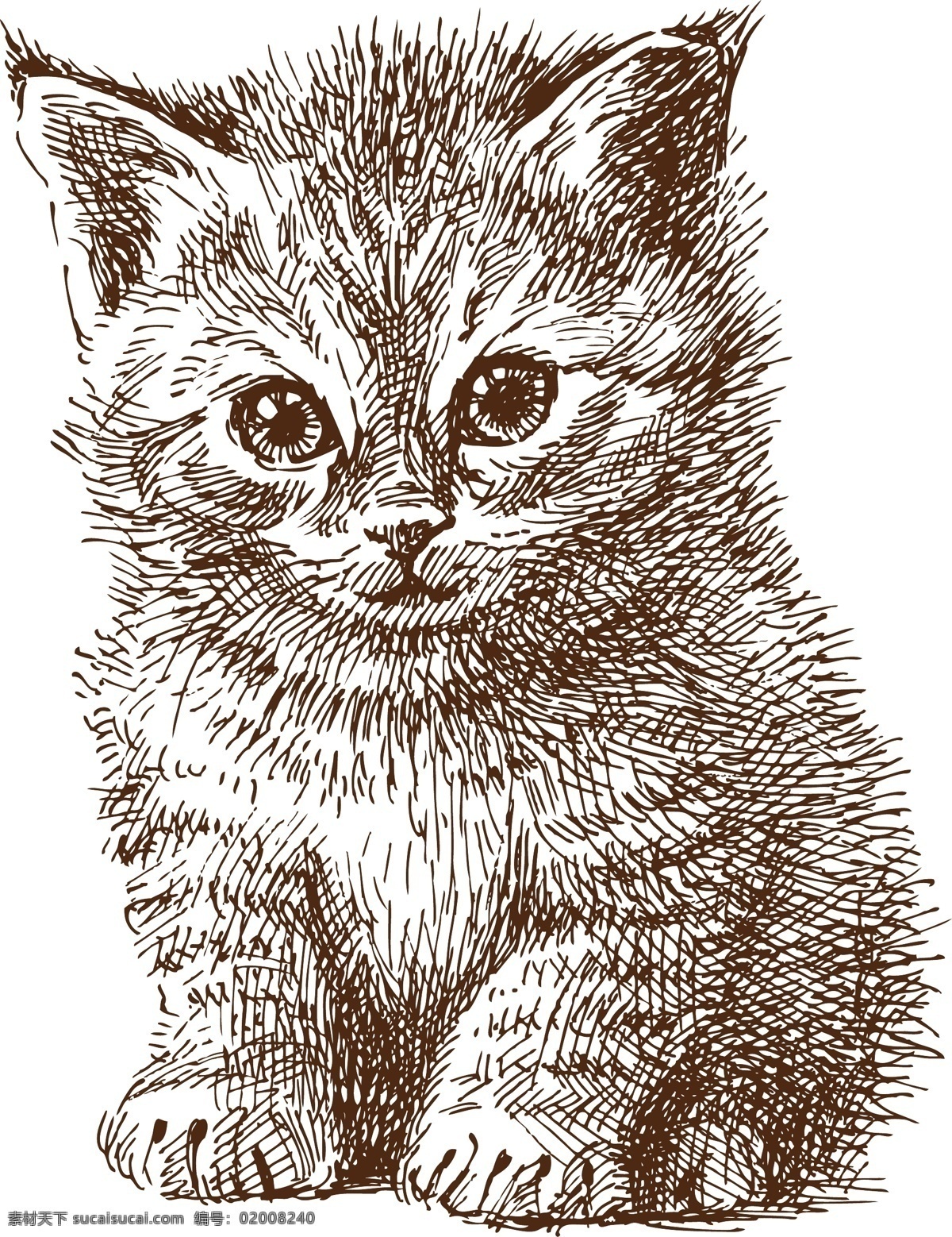 线 稿 动物 可爱 猫咪 矢量图 其他矢量图
