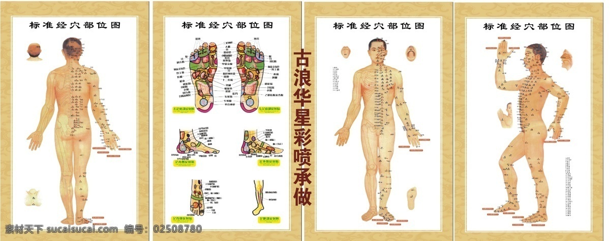 医院挂图 人体穴位 中医学 经穴挂图 广告设计模板 源文件