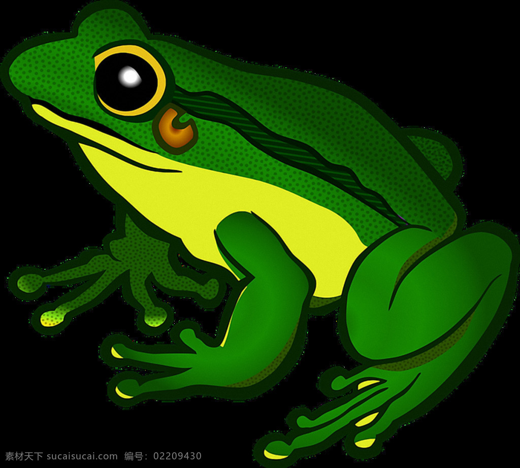 深绿色 手绘 青蛙 免 抠 透明 漂亮青蛙图片 青蛙海报图 青蛙广告图 青蛙素材