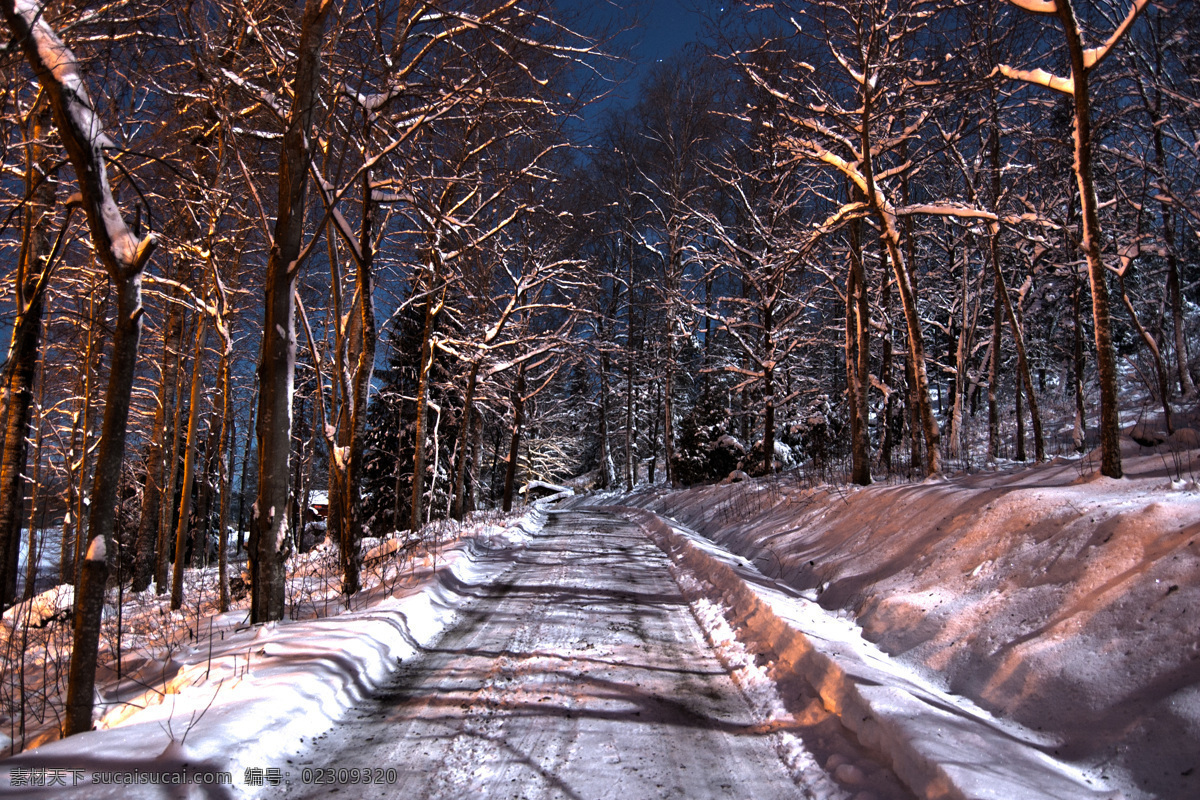 冬天 道 路边 树木 道路 马路 雪 自然风景 自然景观