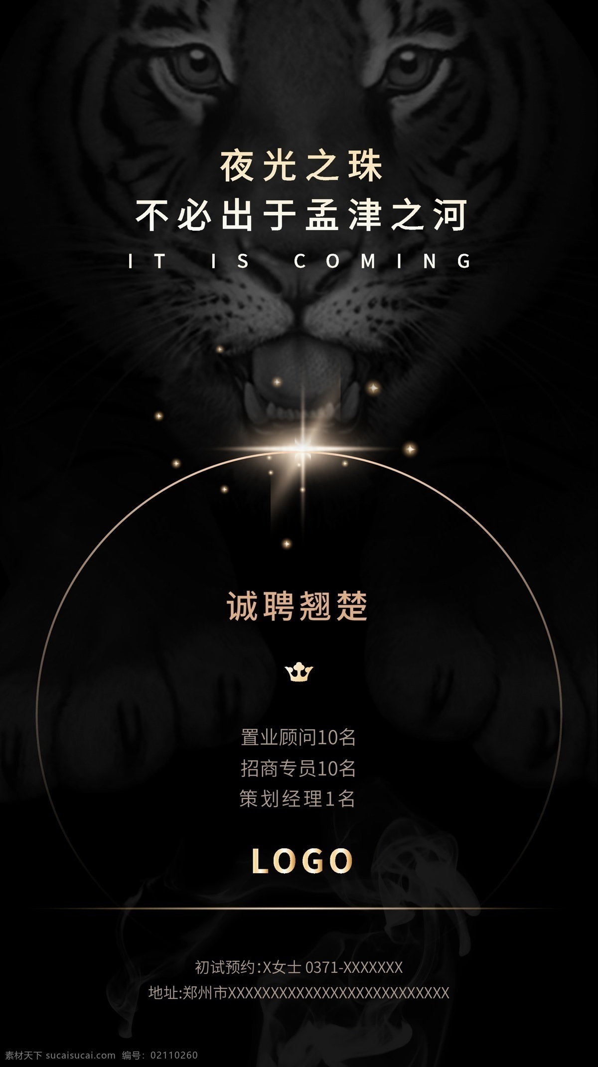 招聘广告 招聘 黑色 老虎 光效 地产招聘 招人