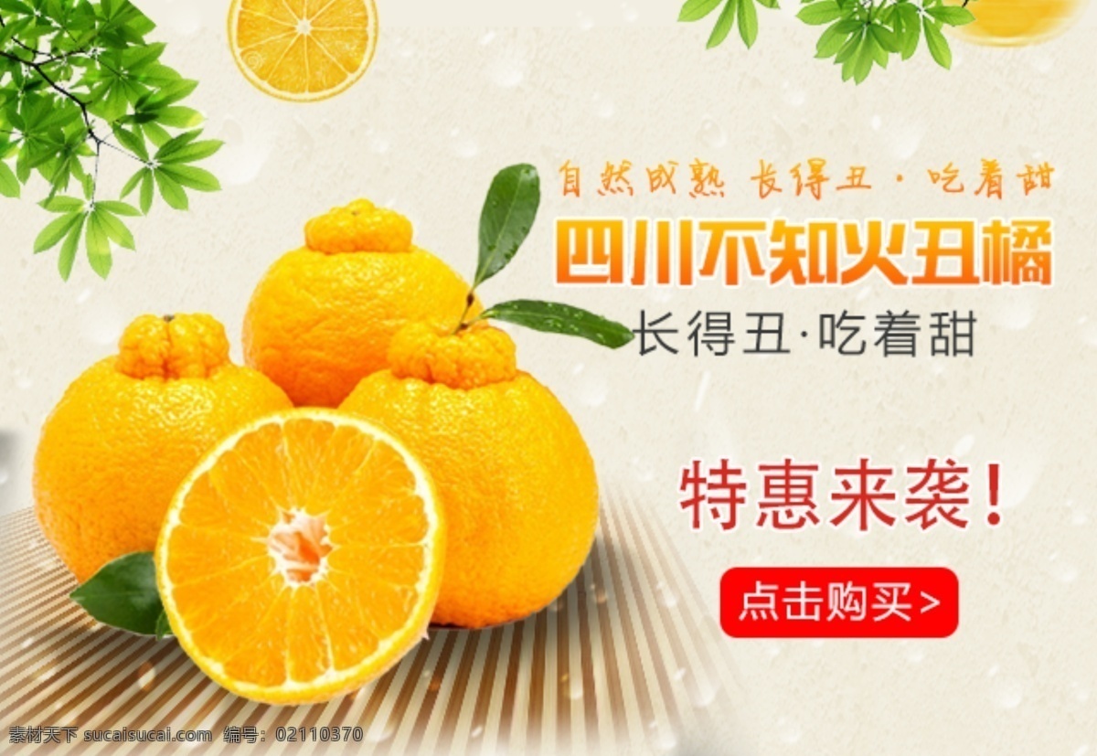 不知 火 丑 橘 清新 风格 banner 不知火丑橘 清新风格 特惠来袭 浅色背景 图 相关