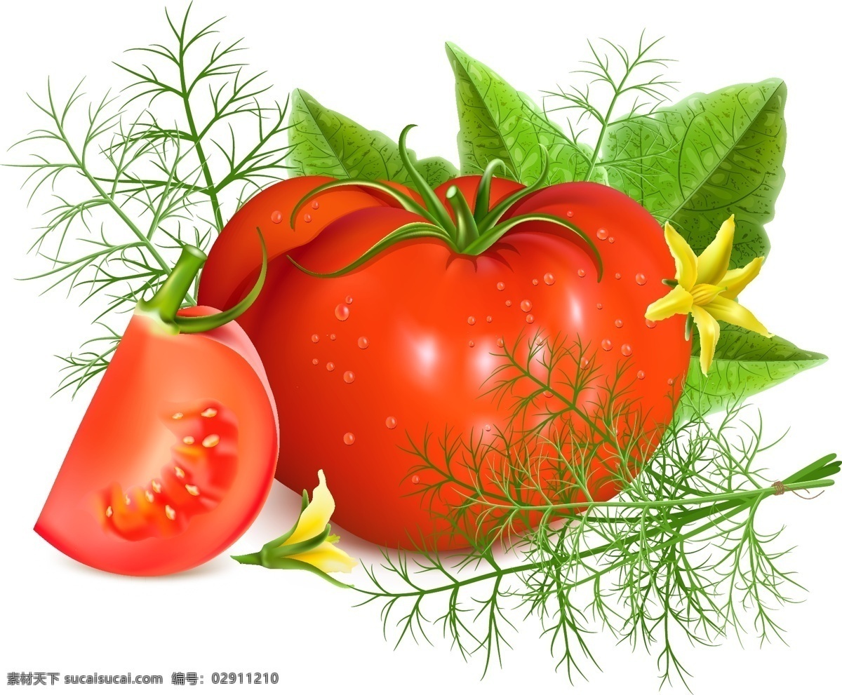 番茄 矢量 装饰 红色 几何图案 贺卡背景 背景素材 创意设计 酸甜 佐料