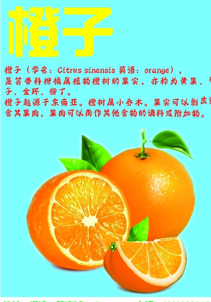 橙子 脐橙 橙果 水果简介 甜橙
