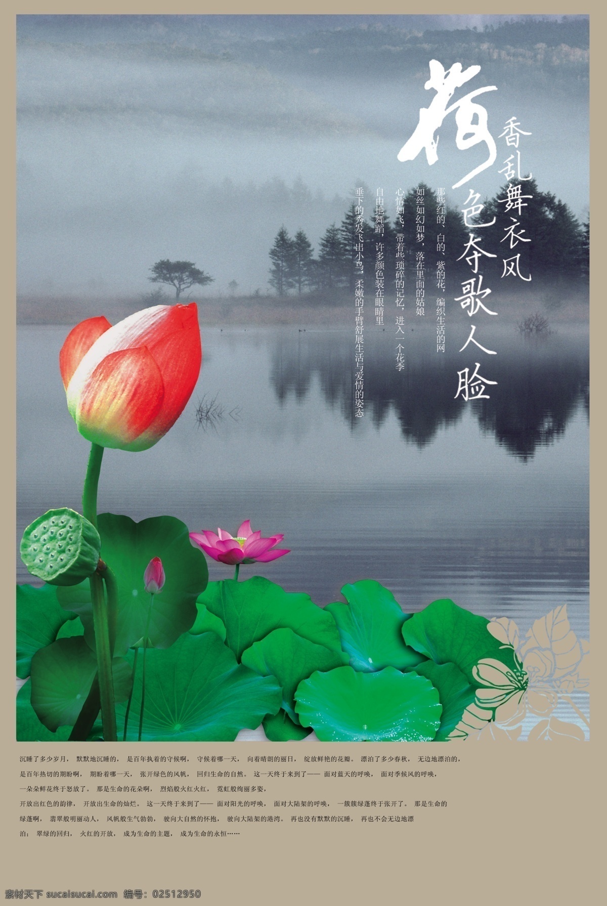 荷花 房产海报 中国风 中国素材 传统素材 中国传统素材 中国元素 中国风房地产