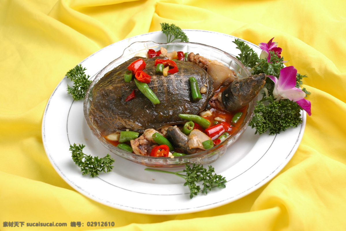 清蒸甲鱼 甲鱼 卤水甲鱼 美食 舌尖上的中国 餐饮美食 传统美食