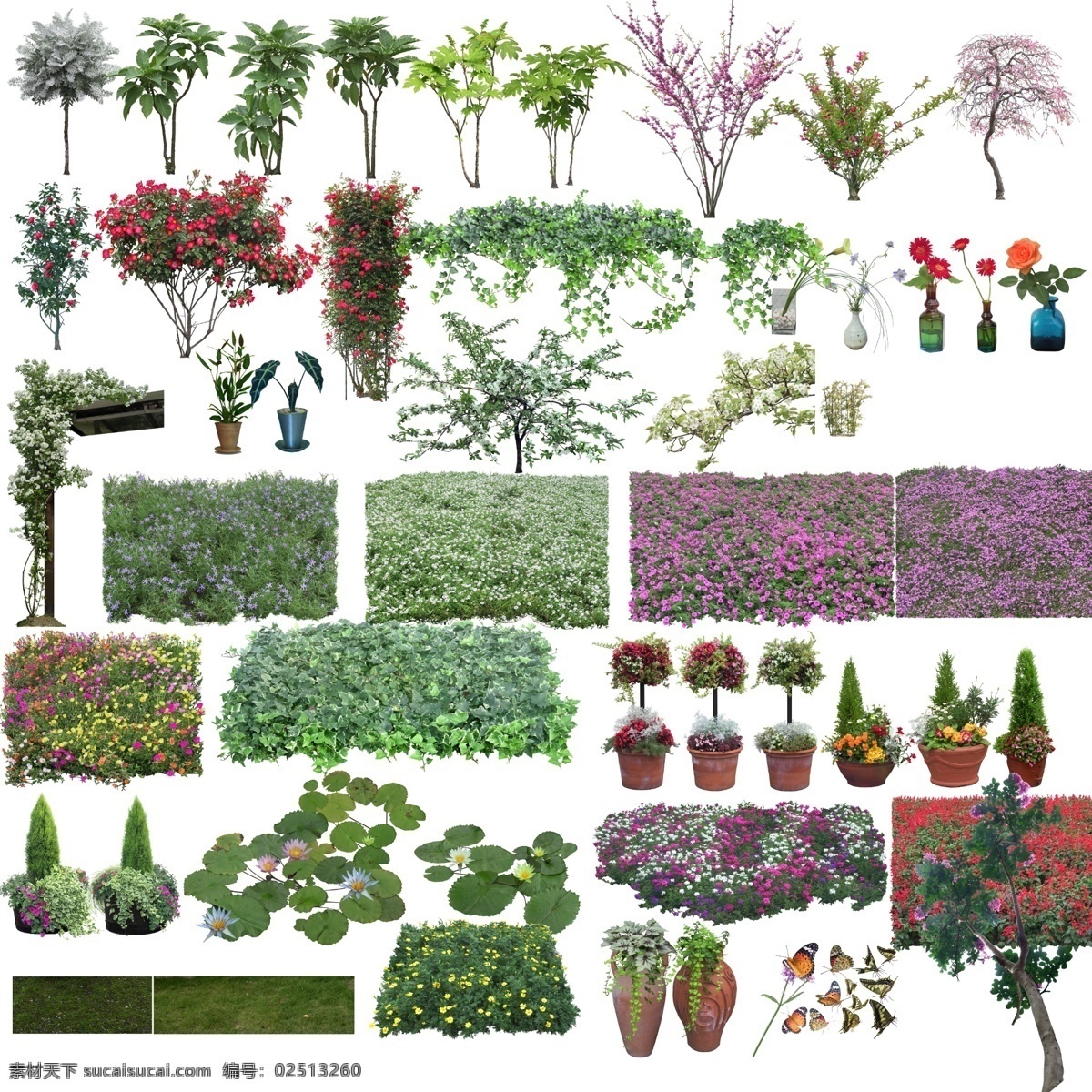 植物psd 分层植物 后期植物贴图 园林景观 住宅景观 园林效果图 景观设计 小区景观 湿地公园 效果图 psd分层 psd源文件 园林设计 后期 环境设计