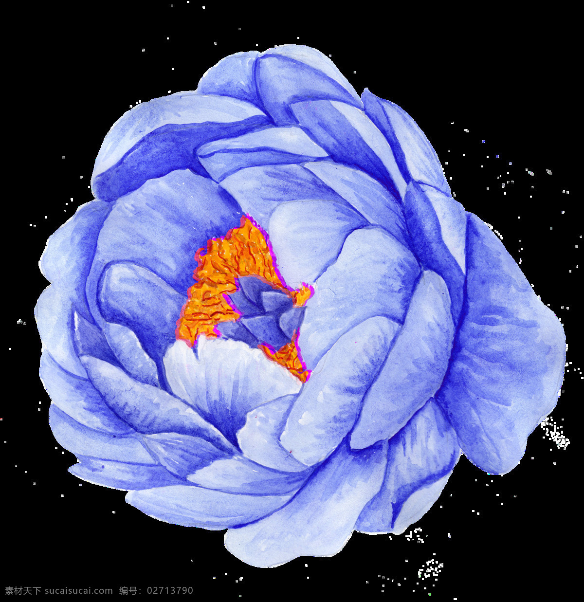 手绘 冷 色系 茶花 透明 装饰 图案 蓝色 花苞 花蕊 山茶花
