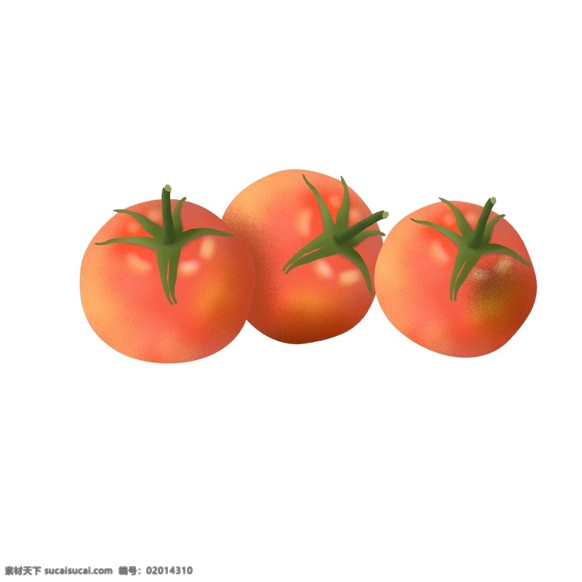 卡通 手绘 三 颗 西红柿 i 蔬菜 食材 美食