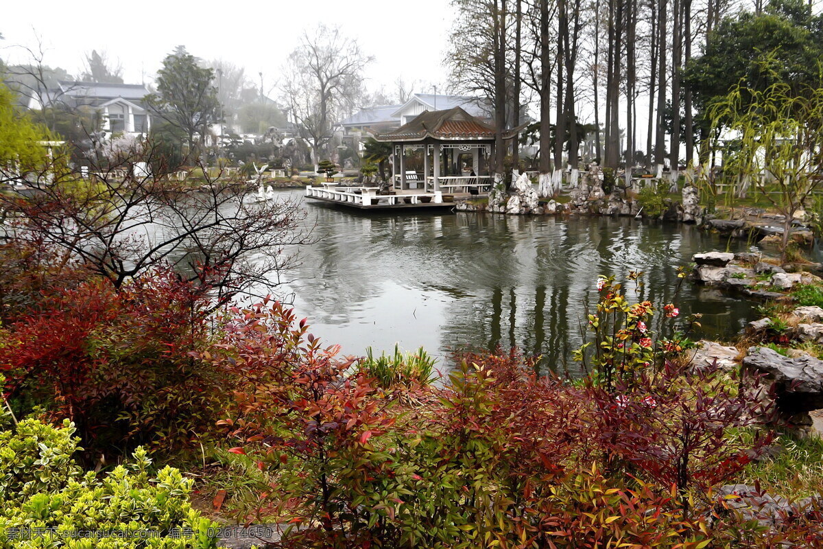 南京 玄武湖 公园 风景