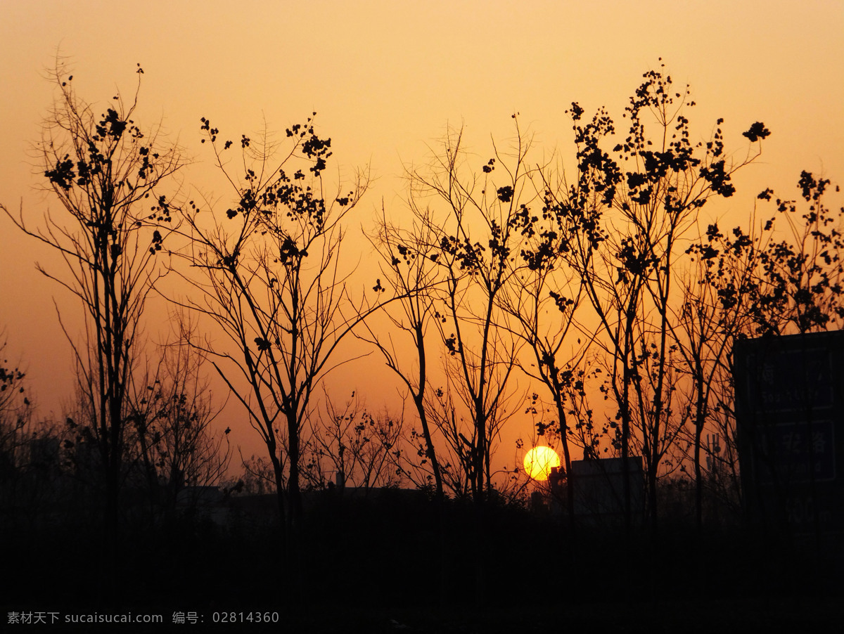 落日 光芒 红色 剪影 树影 太阳 夕阳 自然风景 自然景观 psd源文件