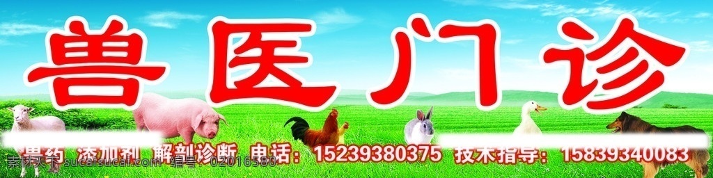 兽医门诊 蓝天 白云 草地 山羊 羊 白羊 猪 肥猪 鸡 公鸡 大公鸡 兔子 灰土 小兔 鸭子 白鸭子 张着嘴的鸭子 狗 大狗 广告设计模板 源文件