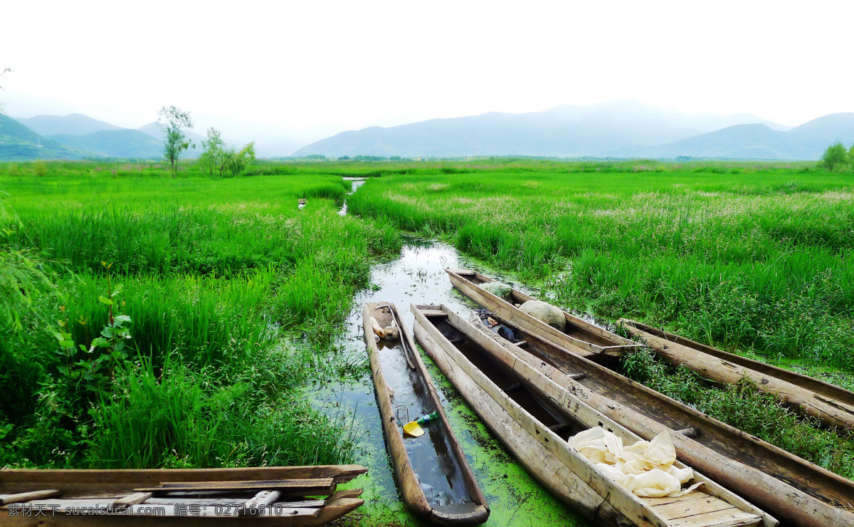 湿地 湖泊 泸沽湖 高原明珠 丽江泸沽湖 丽江 丽江旅游 云南旅游 东方女儿国 旅游摄影 国内旅游