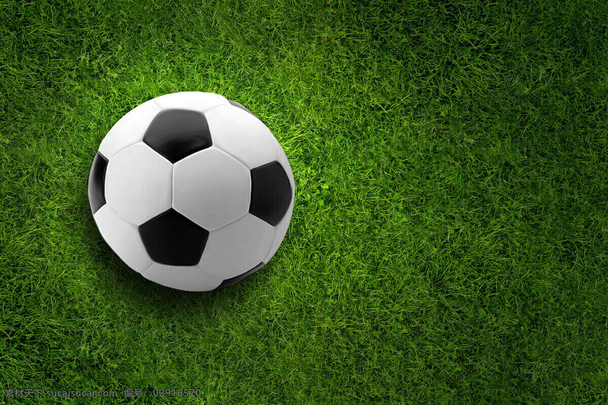 绿茵足球 绿茵 足球 草坪 草 绿色 黑白 球赛 世界杯 欧洲杯 比赛 体育 运动 体育场 体育运动 文化艺术