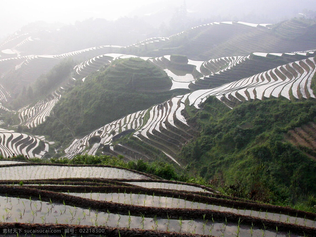 广西梯田 国内旅游 旅游摄影 设计图库 摄影图 梯田风景图片 梯田图片 元阳梯田图片 龙脊梯田图片 梯田 风景 生活 旅游餐饮