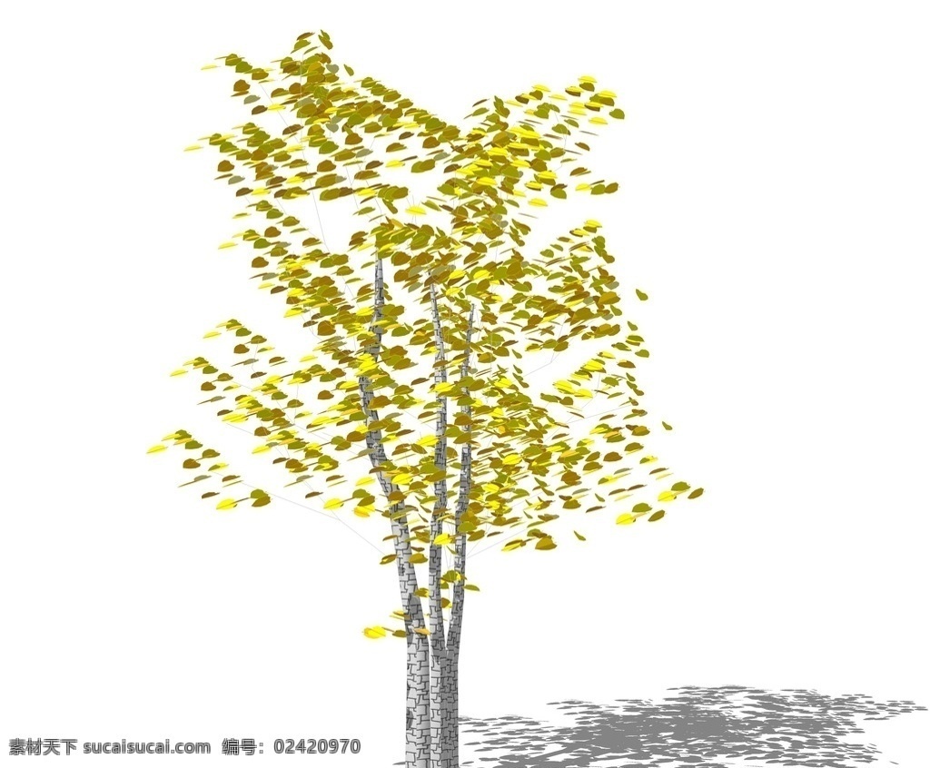 su植物模型 su植物素材 sketchup 植物 su树 3d植物模型 景观设计 园林设计 植物素材 su配景 skp植物 草图大师植物 景观 su模型 su3d树 su植物 环境设计 skp
