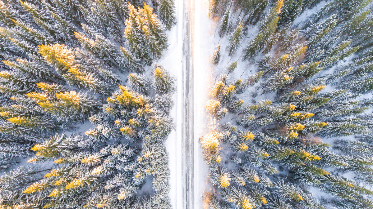 俯视雪地树林 俯视 雪地 树林 雾淞 森林 积雪 公路 自然景观 自然风景