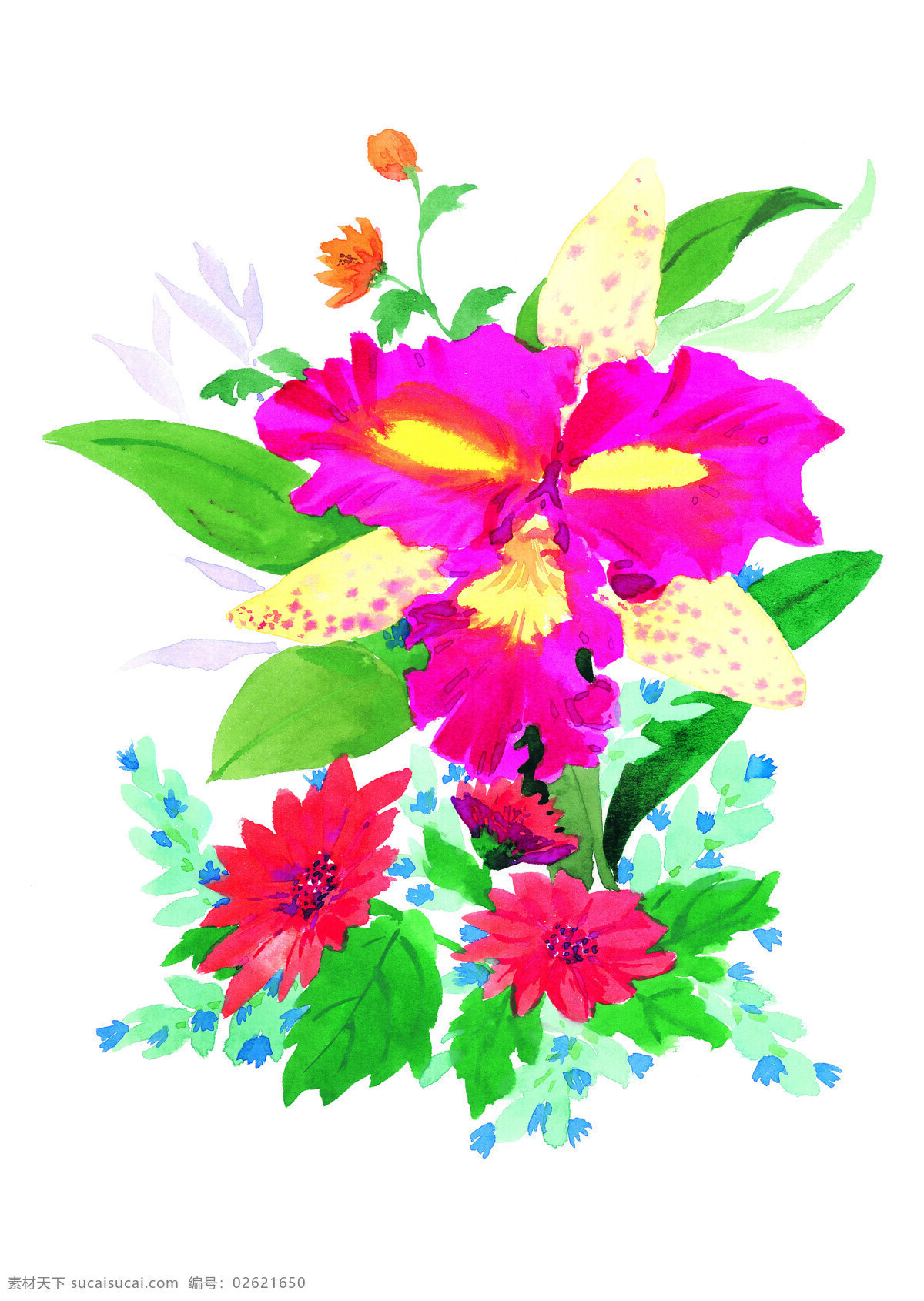 花卉图案 花草图案 花草插图 设计素材 植物插图 书画美术 白色