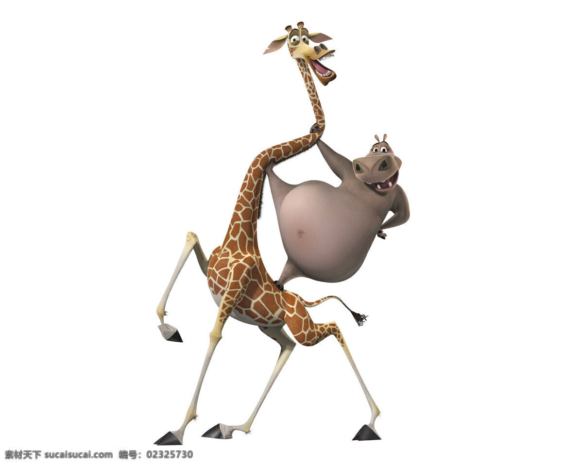 马达加斯加 长颈鹿 河马 可爱 桌面 动物 卡通 三维