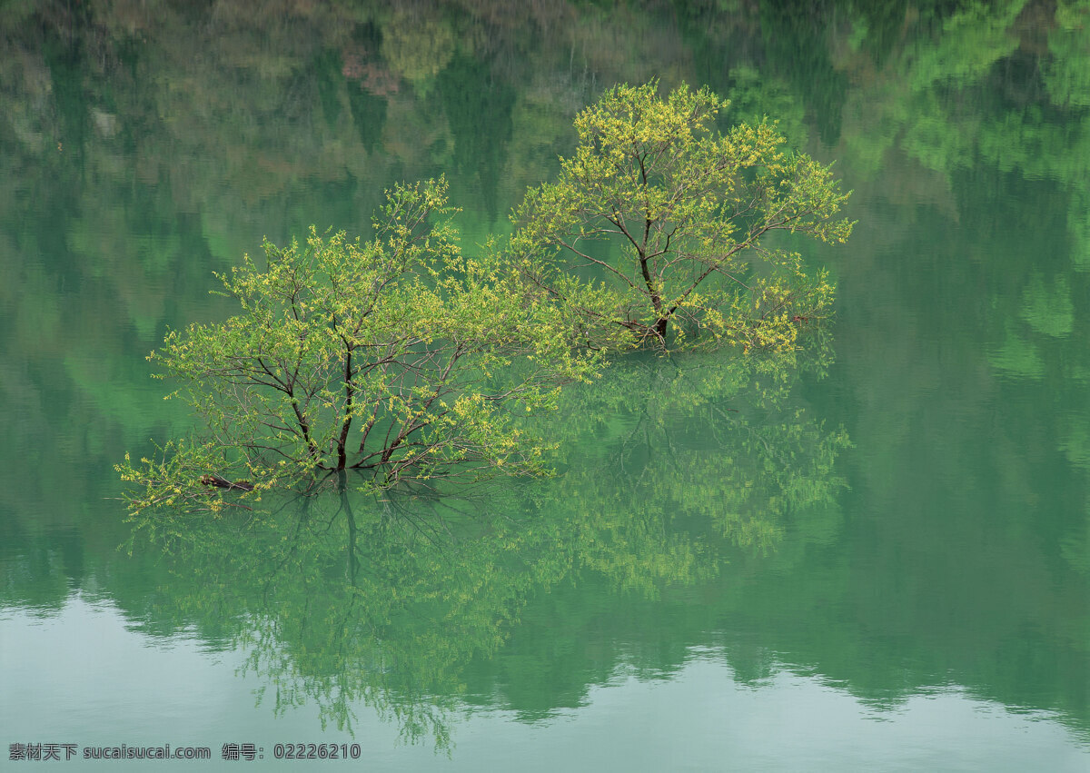 超清晰河塘 晨雾 村庄 风景 风景背景 风景画 河流 湖泊 湖景 湖面 湖畔 山水风景 山峰 山水背景 山水风光 山坡 绿色背景 绿叶 绿草地 绿树 树木 树木大树 山林 森林 森林风景 森林公园 森林背景 景色 山景 秋天风景 自然风景 自然风光 自然景色 雾气 雾中的山 梯田 湖水风景 蓝天白云 花纹背景 花瓣 花草 花卉 花藤 蓝天草地 蓝天大海 野外 野外风景 夕阳风景 溪水 家居装饰素材 山水风景画