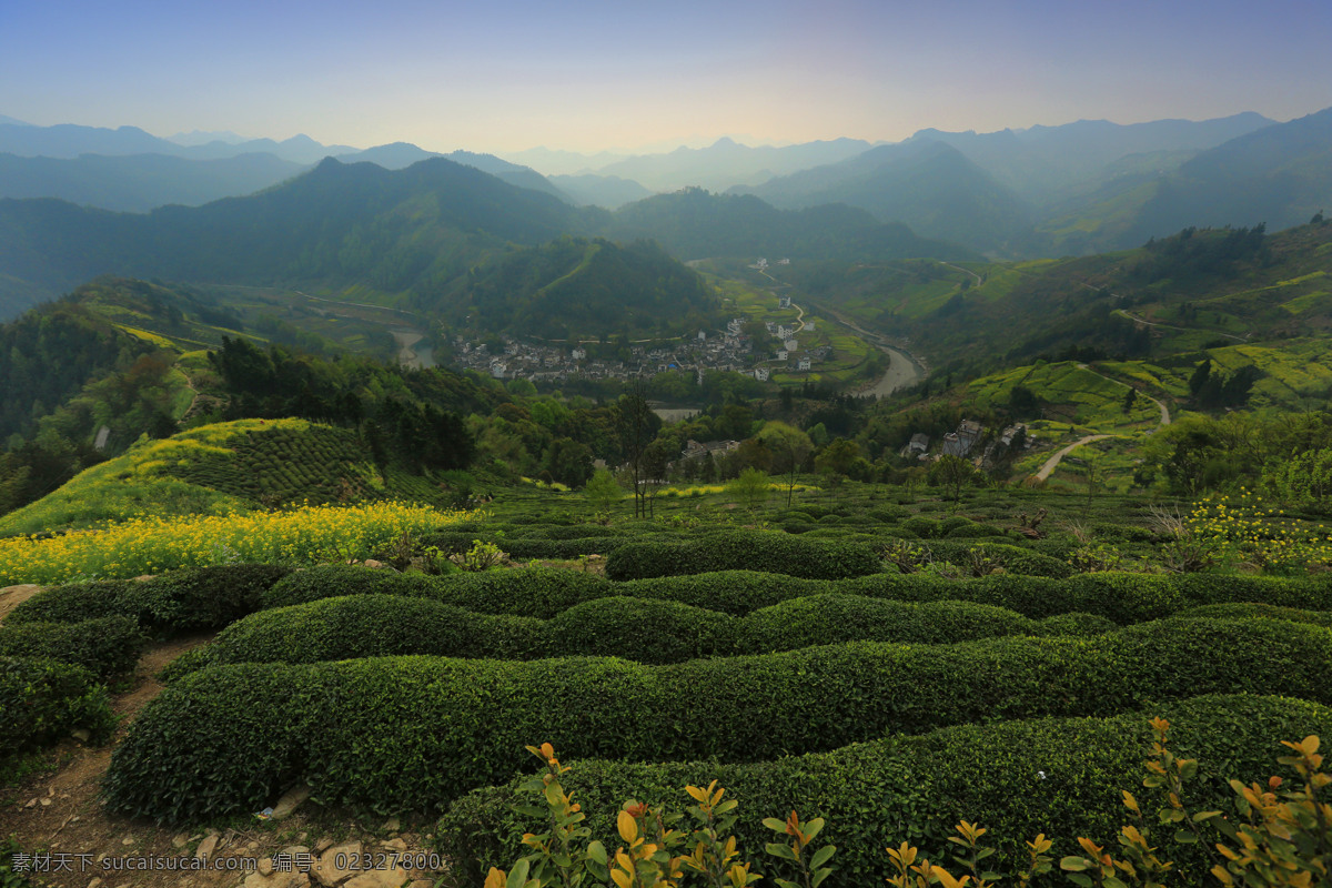 安徽 春天 国内旅游 旅游 旅游摄影 油菜花 石潭 村 石潭村 歙县霞坑镇 石潭村安徽 psd源文件