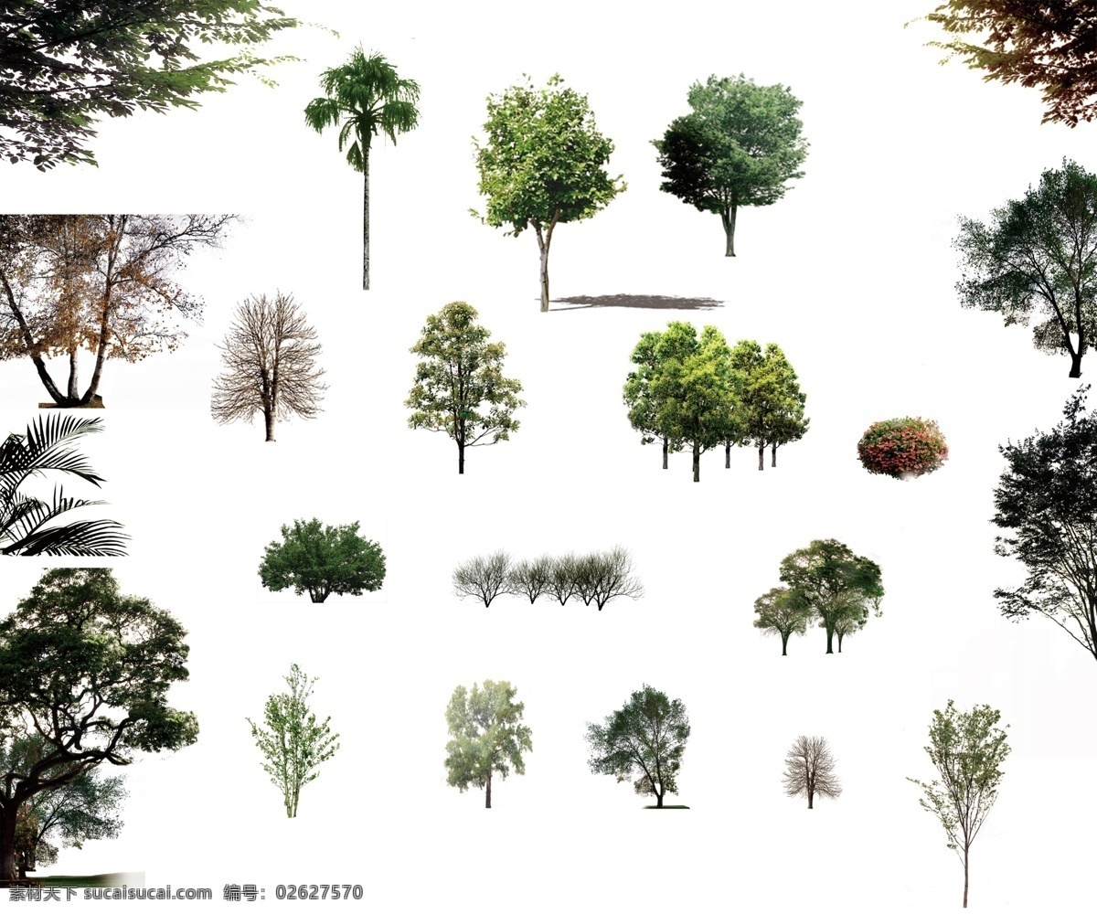 树木 分层 文件 植物 灌木 草丛 森林 分层素材 树 绿树 风景