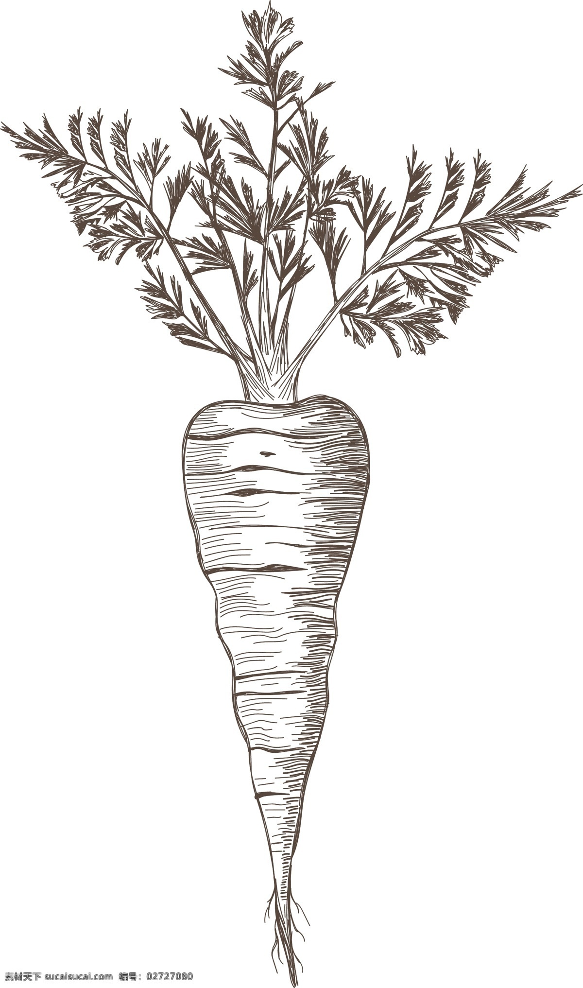 萝卜 蔬菜 logo 餐饮 食品行业 标志 矢量 素描 卡通 手绘 铅笔画 健康