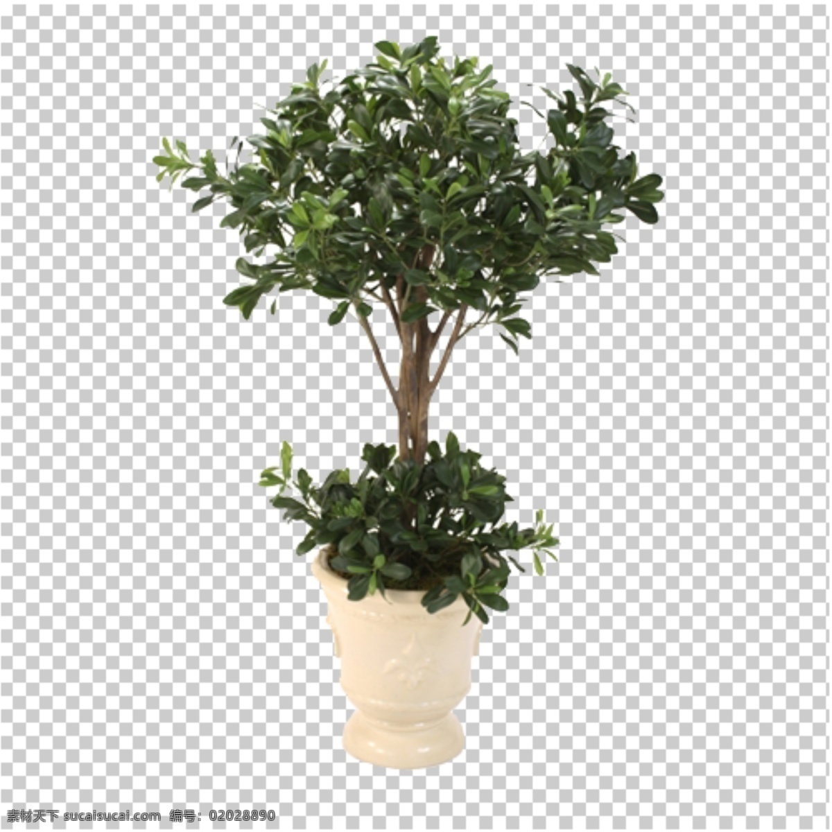 免抠图 桌花 摆件 透明 底 花艺 透明底花艺 绿植 花 分层图 图层 分层