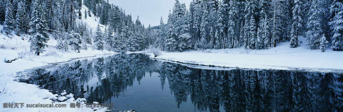 冰天雪地风景 冰天雪地 松树 冬天 湖泊 雪景 景色 风景 自然风景 自然景观 黑色