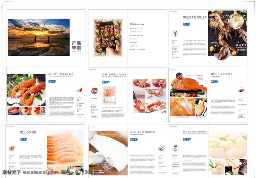 产品手册 波士顿龙虾 甜虾 银鳕鱼 带子 msc 画册设计