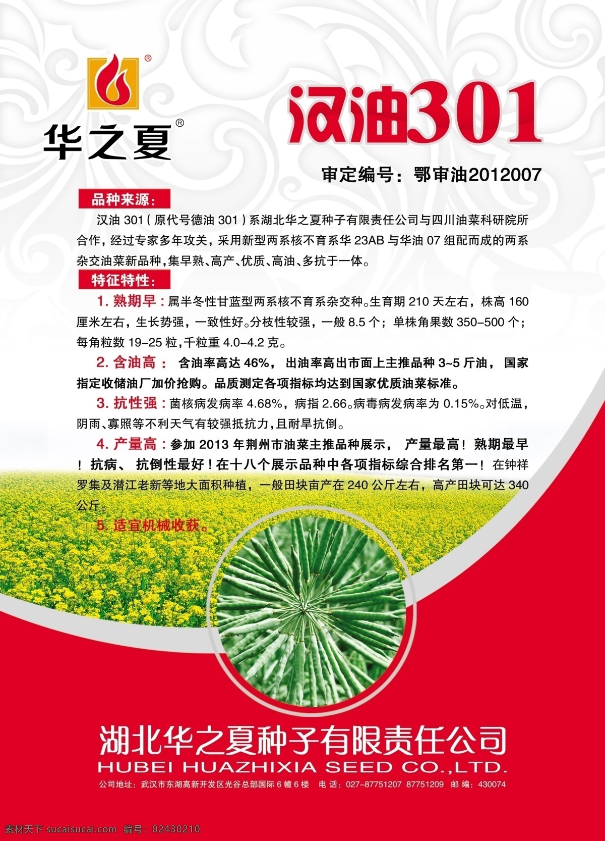 油菜 品种 宣传单 种子 油菜种籽 油菜田 华之夏标志 汉 油 301 dm宣传单 广告设计模板 源文件