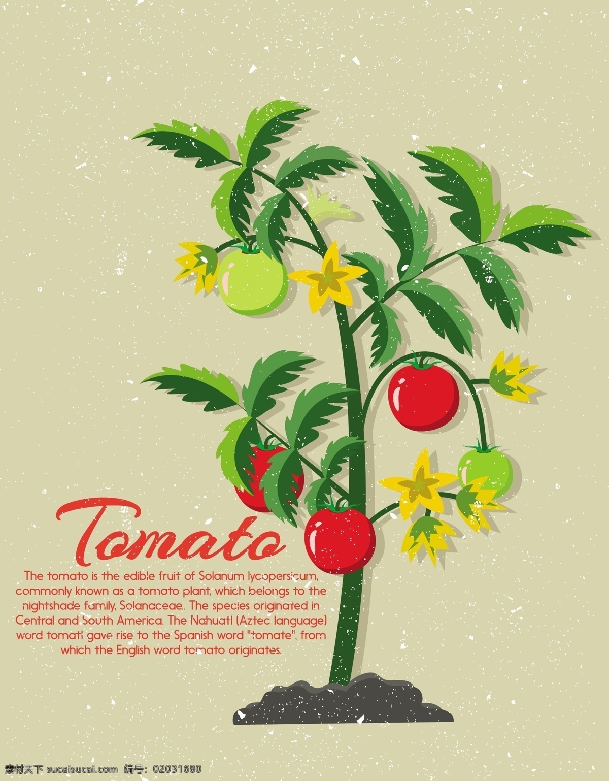 番茄 树 图标 广告 免费 矢量 西红柿 番茄树 植物 花 西红柿花 番茄花 矢量背景