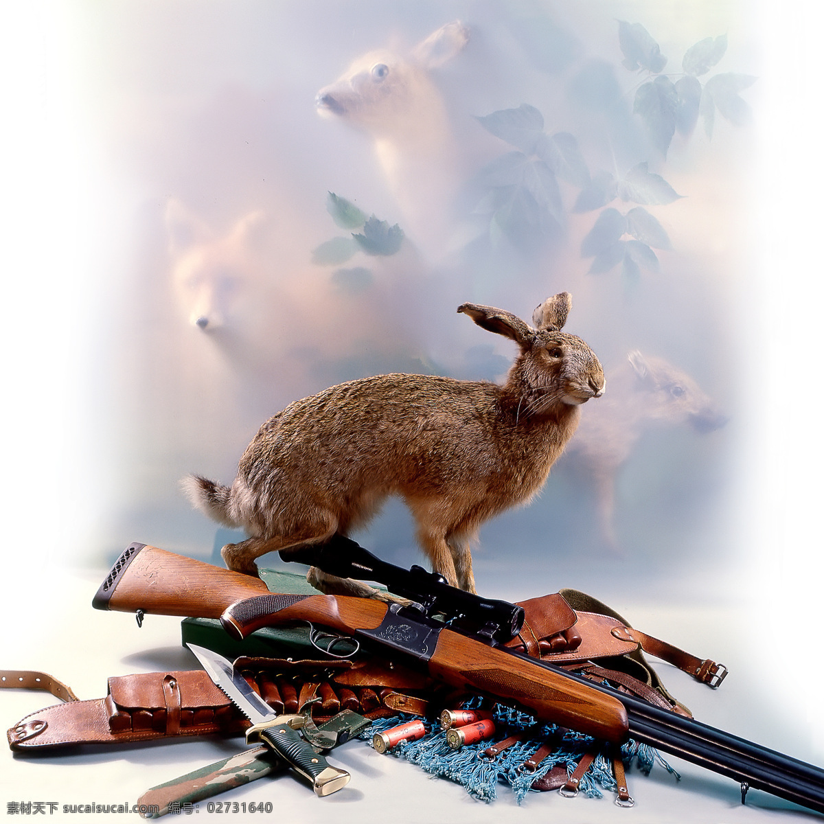 狩猎 工具 动物 兔子 打猎 枪 猎枪 射击 枪击 打枪 运动 军事武器 刀 其他类别 生活百科