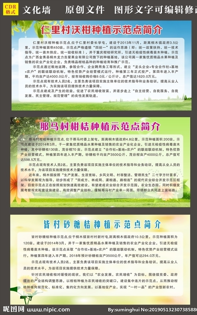 柑桔 种植 示范点 砂糖桔 沃柑 茂谷柑 水果