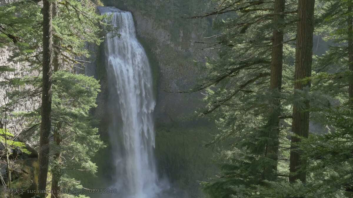 盐溪瀑布 自然 水 落下 瀑布 在户外 景观 岩石 石 树 风景 山 流动 森林 自然的 野生的 旅游 旅行 和平 平静的 宁静 松木 盐 小溪 俄勒冈州