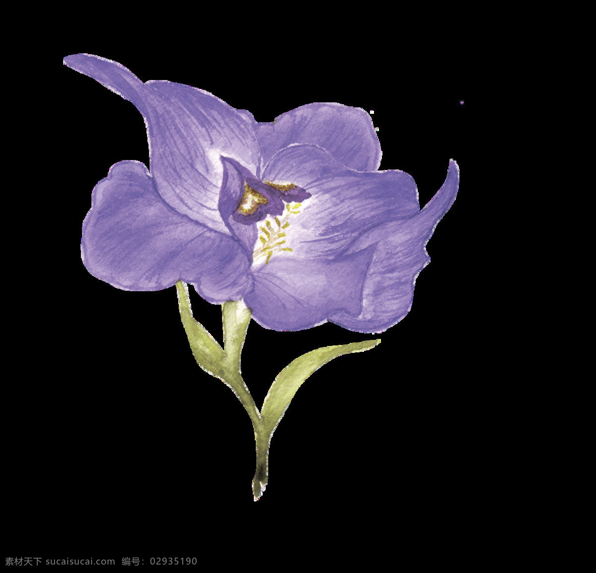 紫海 花叶 透明 装饰 紫色 花束 矢量素材 设计素材 平面素材