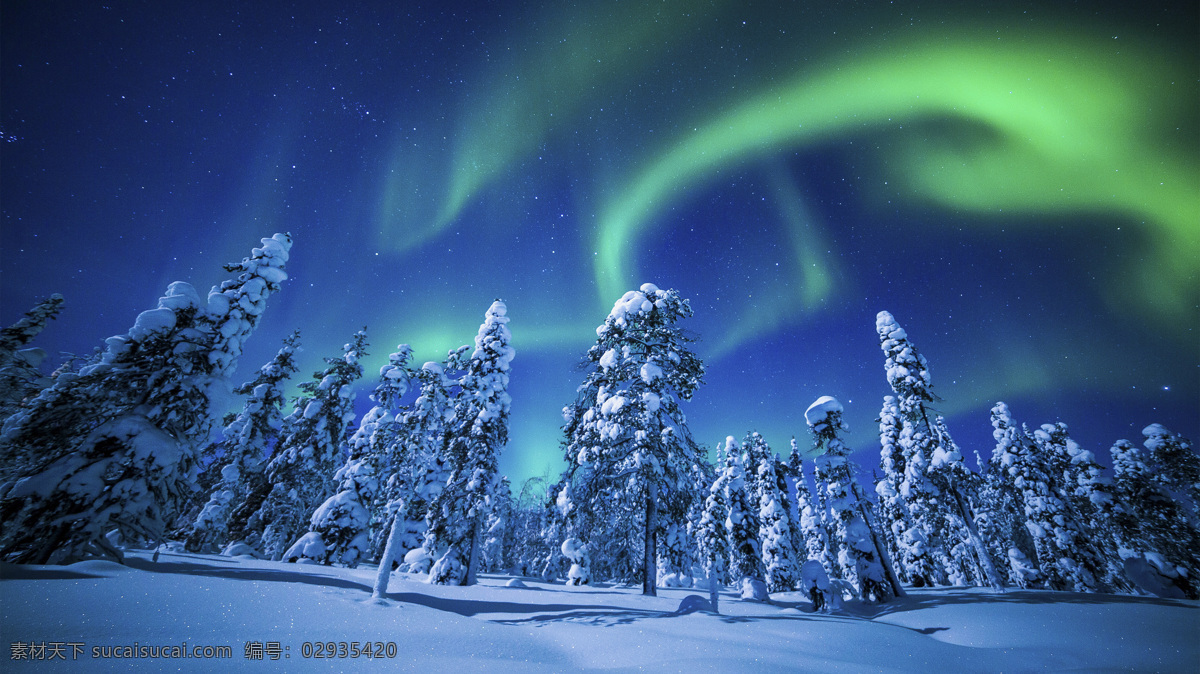 雪上树林 雪 风景 雪林 房子 雪花 自然景观 自然风景 高原风光 旅游摄影