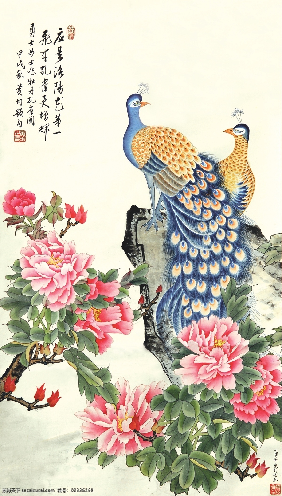 孔雀 牡丹 瓷砖 高清 背景 墙 牡丹花 中国画 国画 工笔画 中国风 中式 传统 经典 古典 背景墙 电视背景墙 效果图