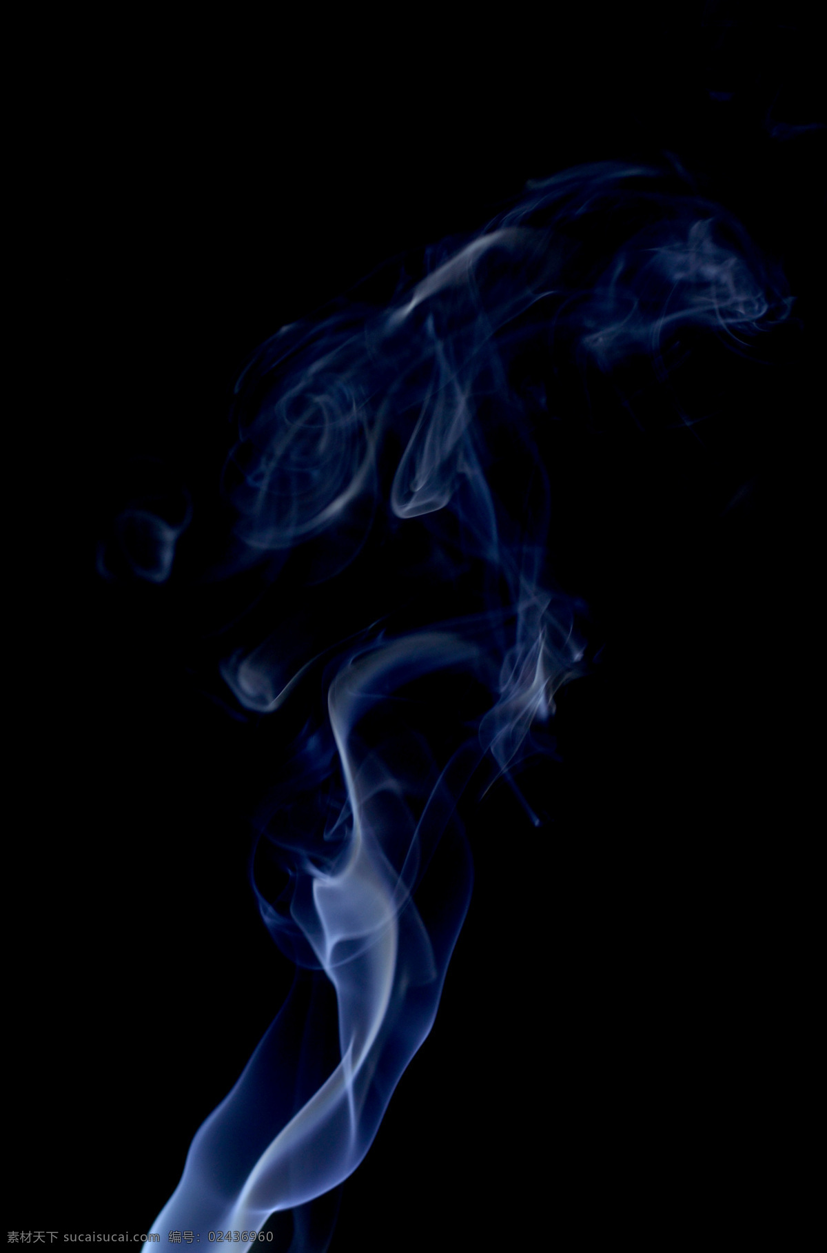 烟雾 香烟 香烟的雾 烟的雾 烟的形态 文化艺术