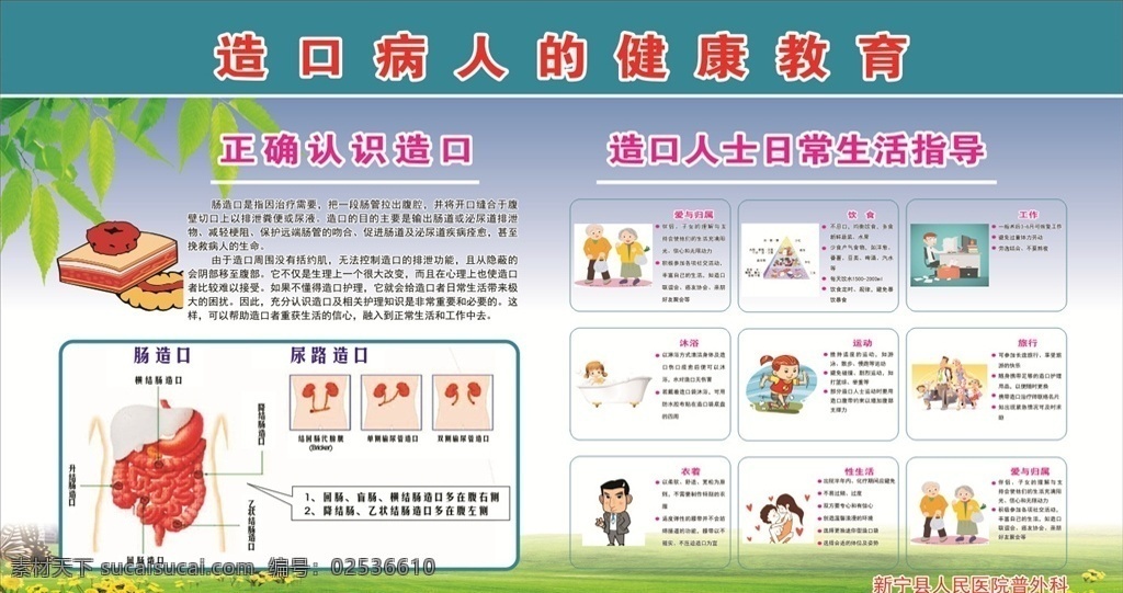 造 口 病人 健康教育 医院宣传栏 造口病人 疾病知识 宣传栏 展板模板