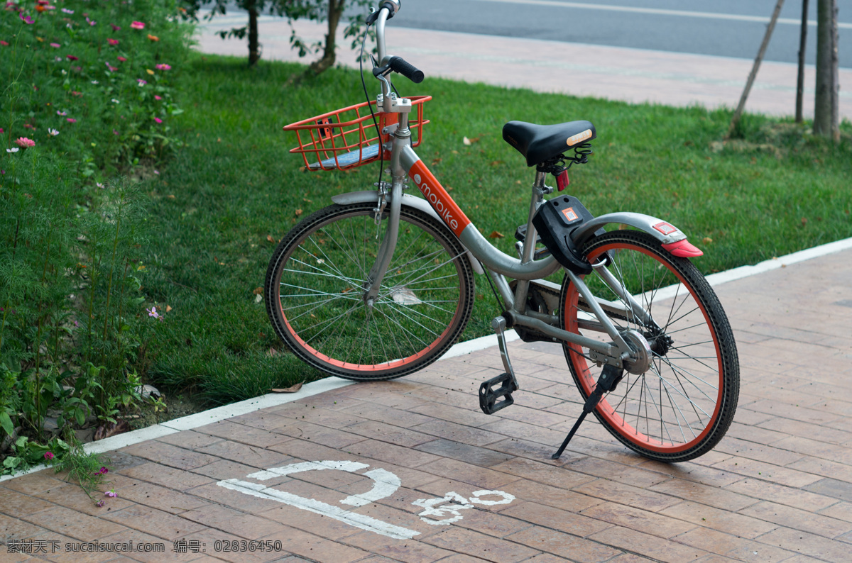 停车位 上 摩 拜 单车 共享单车 摩拜单车 mobike 扫码骑车 自行车 出行 交通工具 自行车停车位 草地 现代科技