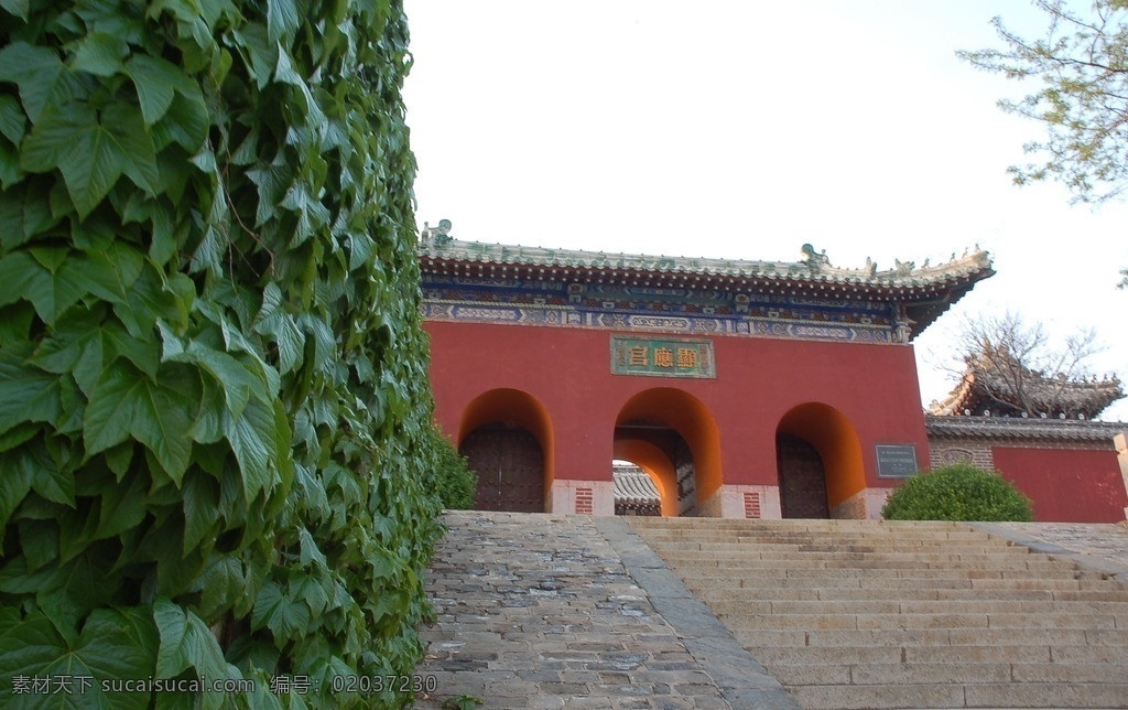 道观 寺院 仙灵宫 显应宫 绿墙 人文景观 旅游摄影