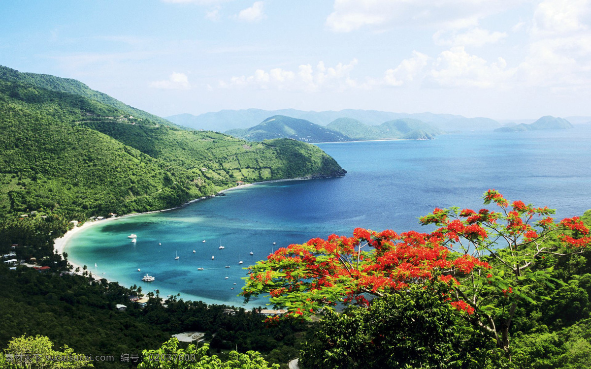 山水风景 高清 小溪 大海 花草 绿树