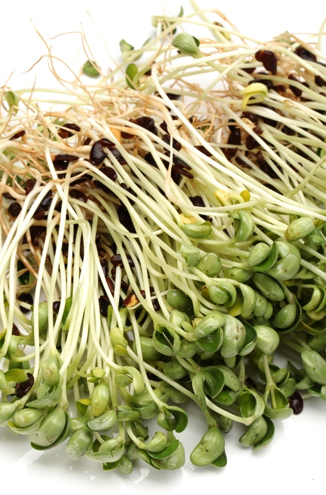 豆芽图片 豆芽 清新豆芽 豌豆苗 黄豆芽 绿豆芽 豆芽苗 健康食材 蔬菜超市广告 有机蔬菜 农家蔬菜 无公害 蔬菜展板 蔬菜海报 蔬菜文化 蔬菜图片 蔬菜素材 蔬菜挂画 蔬菜饮食 蔬菜营养 蔬菜超市 蔬菜市场 蔬菜广告 新鲜蔬菜 绿色蔬菜 蔬菜食堂 蔬菜饭店 蔬菜模板 蔬菜扁豆 蔬菜蚕豆 餐饮美食 生物世界 蔬菜
