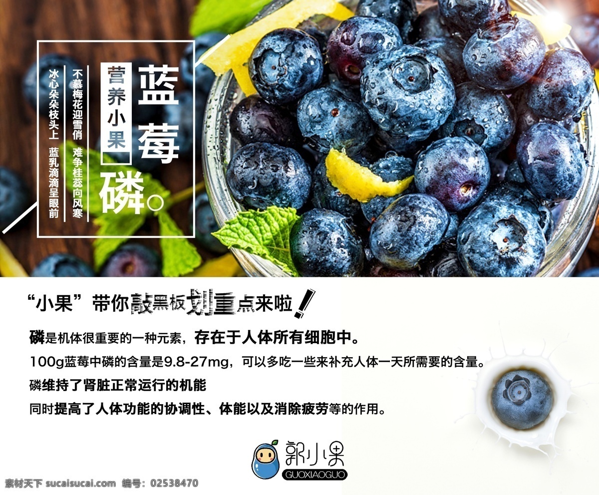 蓝莓海报 蓝莓 莓 蓝 水果 磷 宣传