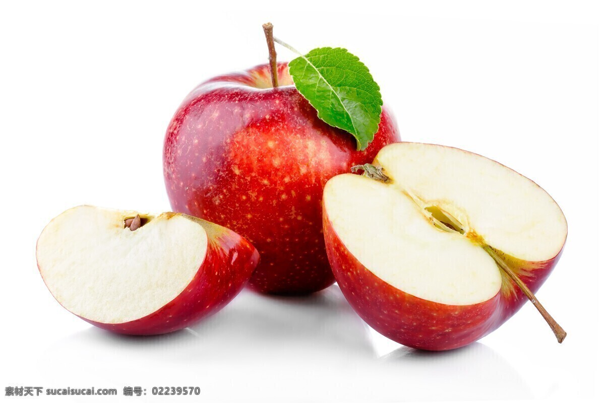 苹果图片 苹果 盆景苹果 喜庆苹果 盆景 苹果特写 盆栽 水果 果实 园林风景 枝叶 植物 花草 餐饮美食