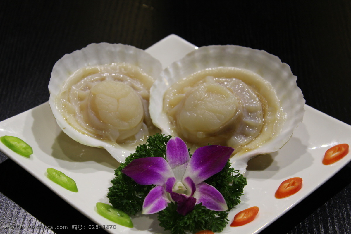 扇贝王 扇贝 海鲜 新鲜 白碟 紫花 食物原料 餐饮美食