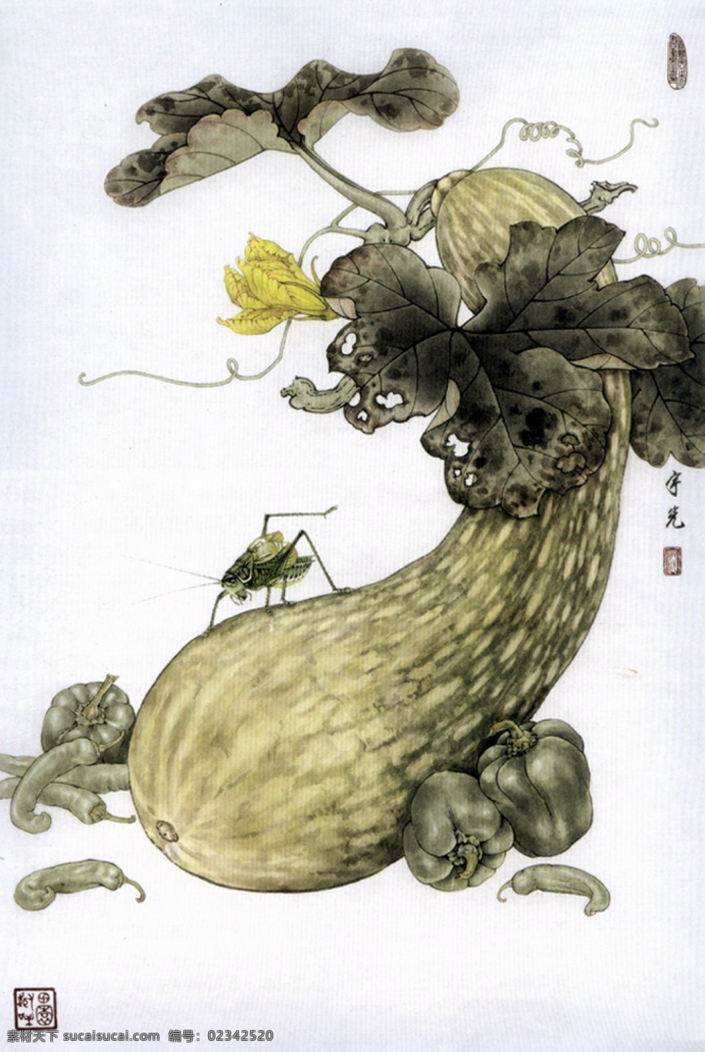 精美 工笔 国画 壁纸 南瓜 壁画 花藤 工笔画 辣椒 文化艺术 绘画书法